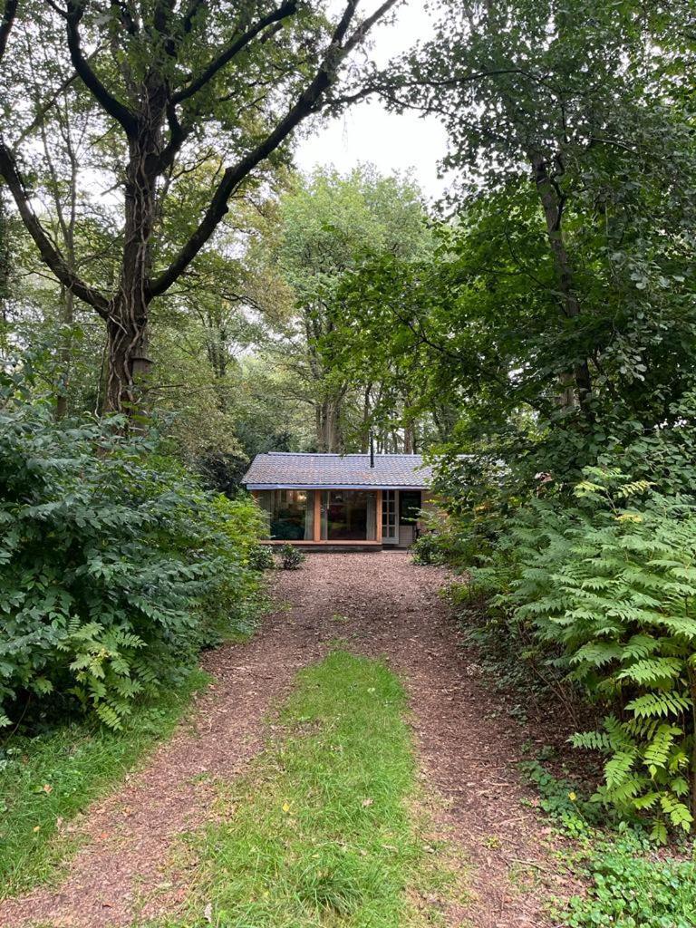 Huisje In Het Bos เซาด์ลาเรน ภายนอก รูปภาพ